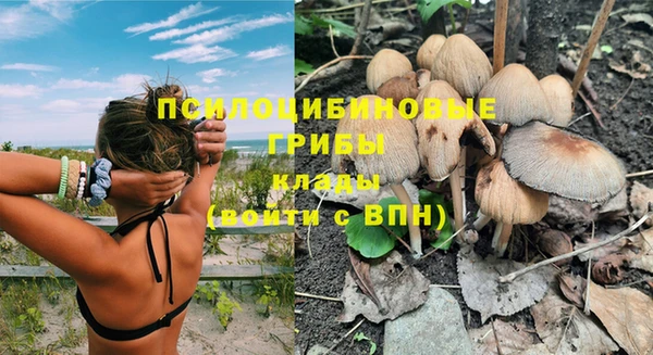 хмурый Баксан