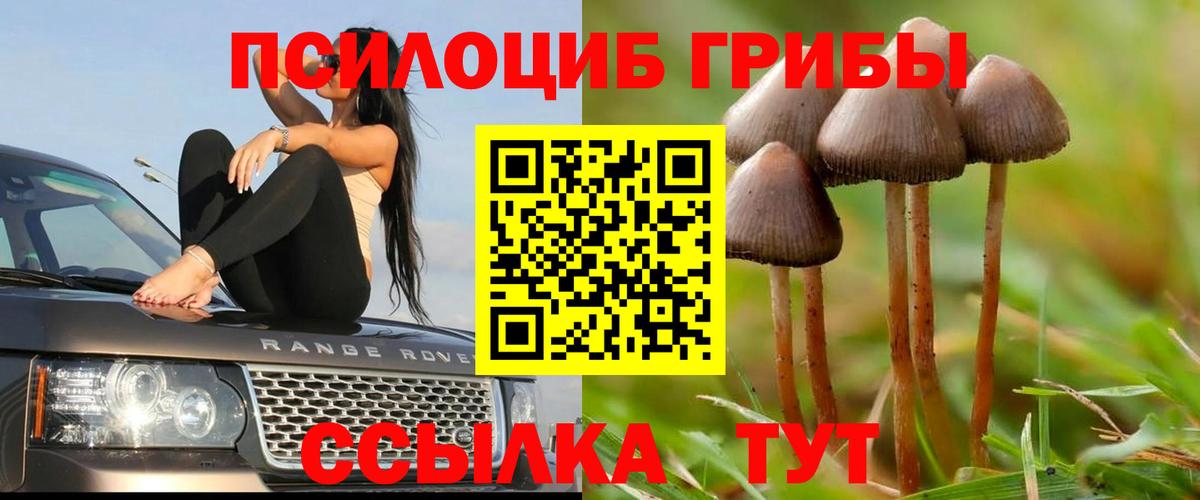 Псилоцибиновые грибы GOLDEN TEACHER  Псилоцибиновые грибы мицелий  Печора  Вход с VPN 